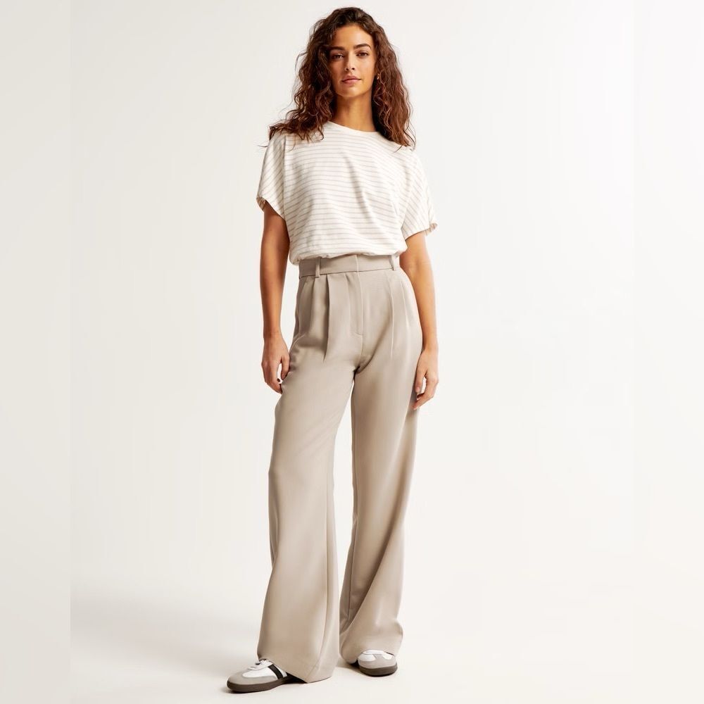 Abercrombie & Fitch Taupe Sloane Tailored Wide Leg Trouser High-Rise Pants 34/18